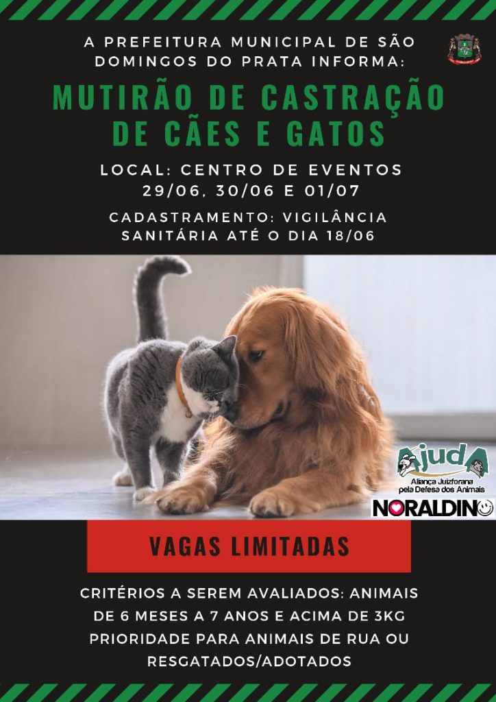 MULTIRÃO DE CASTRAÇÃO DE CÃES E GATOS – São Domingos do Prata