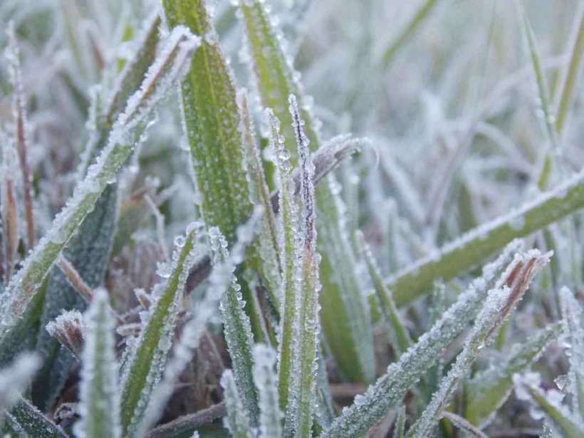 Termômetros em queda: entenda o alerta de frio severo em Minas