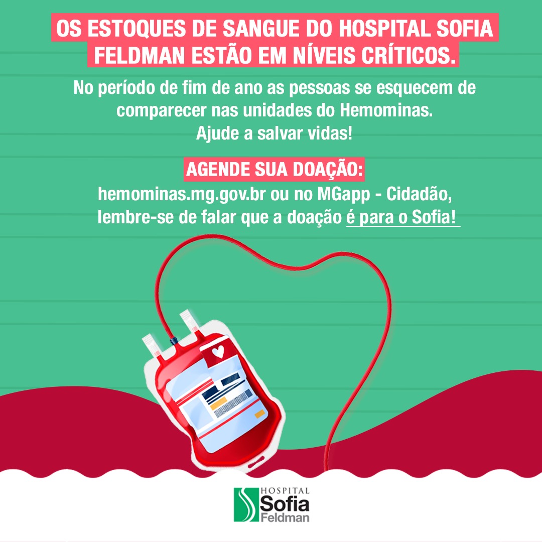 A importância da doação regular de sangue