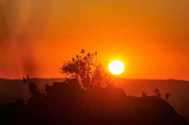 Queimadas da vegetação em Minas Gerais causam grandes prejuizos