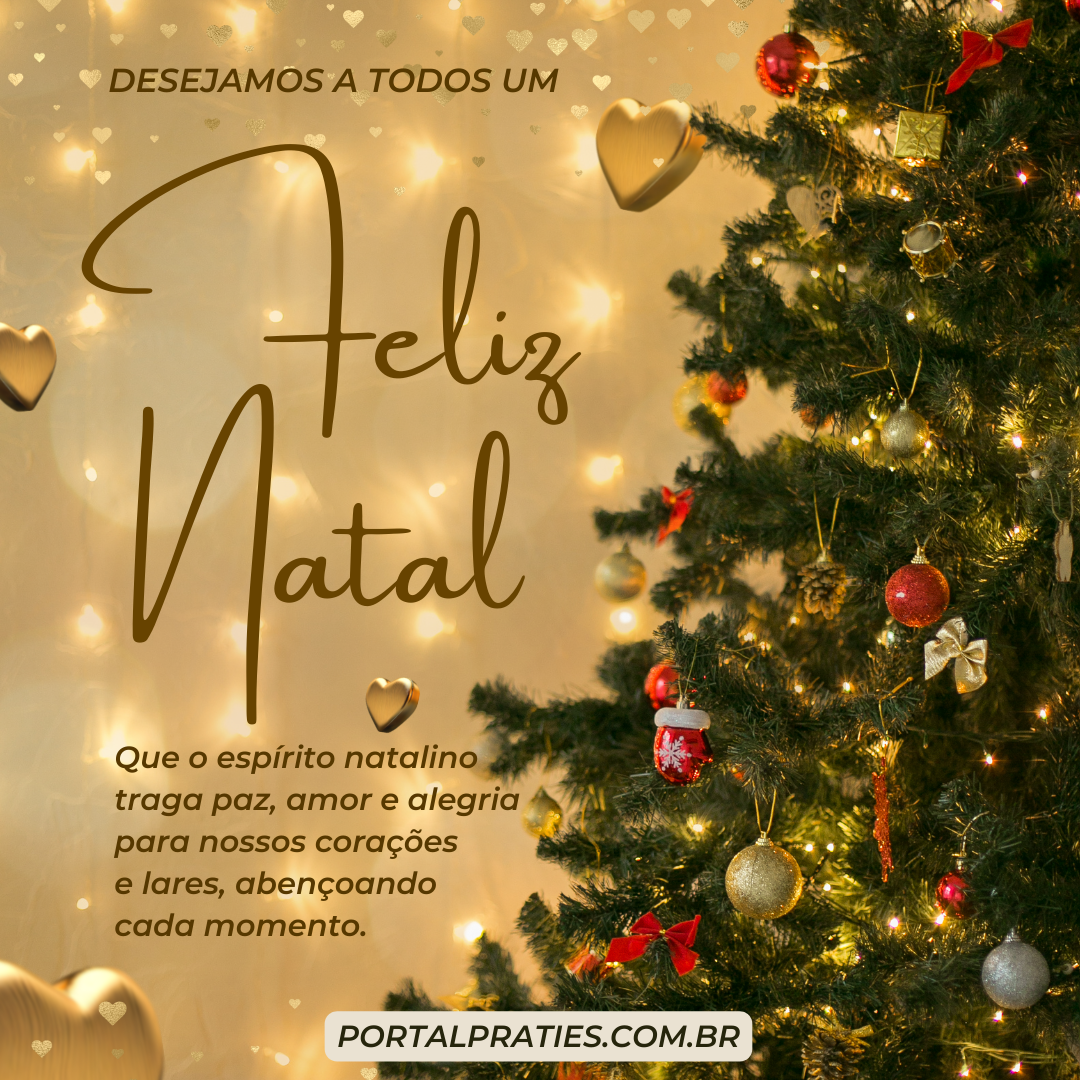 DESEJAMOS A TODOS UM FELIZ NATAL!