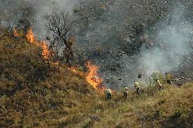 Incêndios ameaçam áreas de proteção ambiental em MG