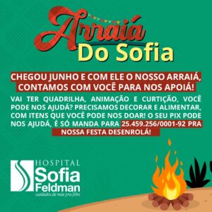 Arraiá da Sofia Feldman