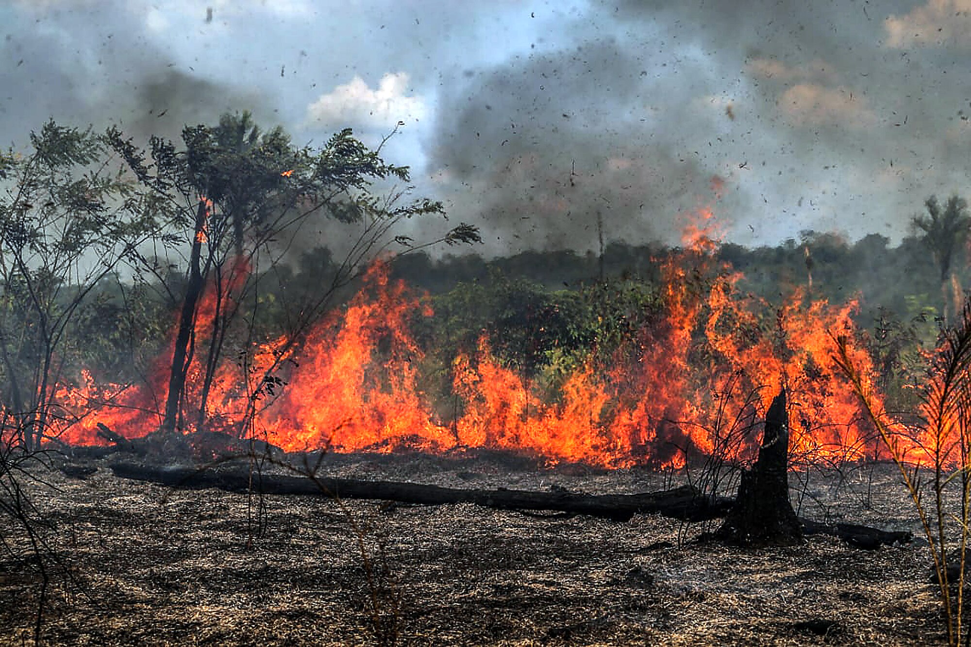 Incêndios: prevenção é responsabilidade de todos